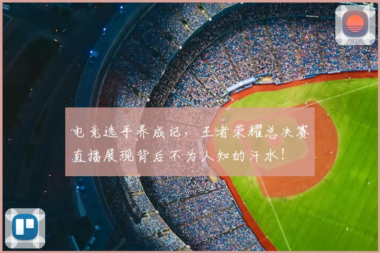 电竞选手养成记，王者荣耀总决赛直播展现背后不为人知的汗水！
