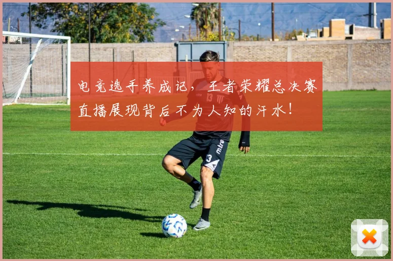 电竞选手养成记，王者荣耀总决赛直播展现背后不为人知的汗水！